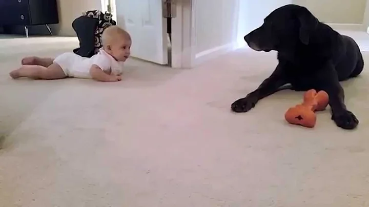 Baby's first crawl with her dog... what a cute end...