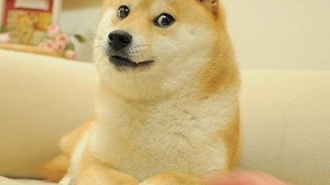 xCrack Updated Client Free Download