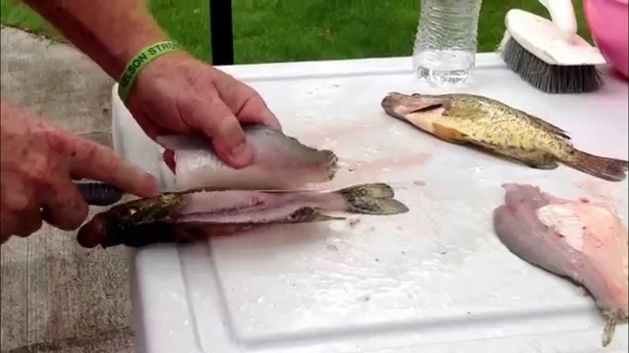 How to fillet a crappie with no bones fast and easy. YouTube