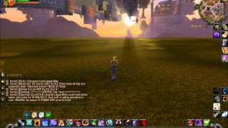 World Of Warcraft Stormwind Sturmwind Bug