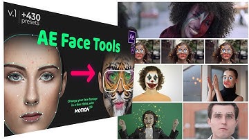 Download AE Face Tools | After Effects