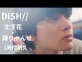 DISH//   沈丁花・ 踊りゃんせ 1時間耐久 ベストヒットメドレー 勉強・作業用BGM  worksoundtrack