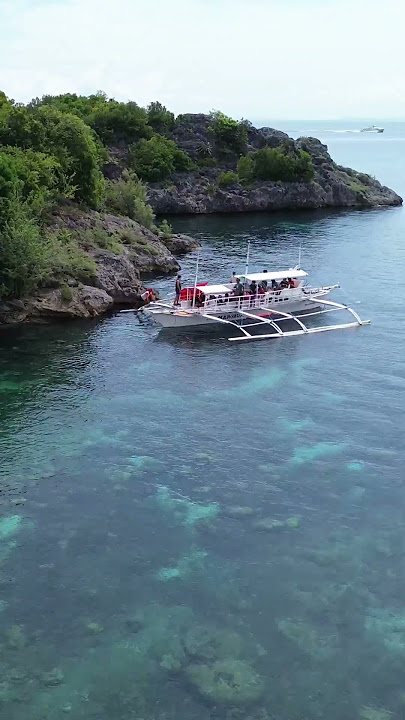 Halea Nature Park #TicaoIslandMasbate#masbateprovince#droneshots