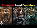 Why Are Wild Cats the Most Powerful Land Predators?