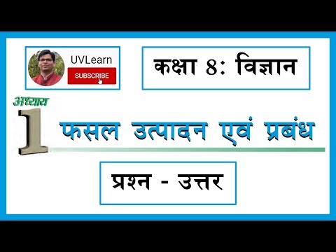 वीडियो: एक Vet Question द्वारा उत्तर दिए गए 5 वरिष्ठ पालतू प्रश्न