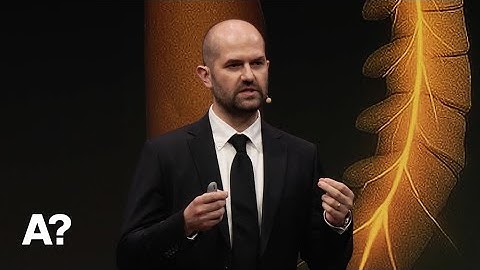 Bionic engineering: Bridging biology and robotics – Ivan Vujaklija