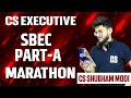 SBEC PART A MARATHON CS EXECUTIVE AUGUST 2021 CS SHUBHAM MODI
