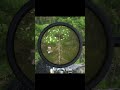#armareforger #gaming