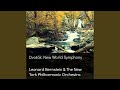 Symphony No. 9 in E Minor, Op. 95: II. Largo