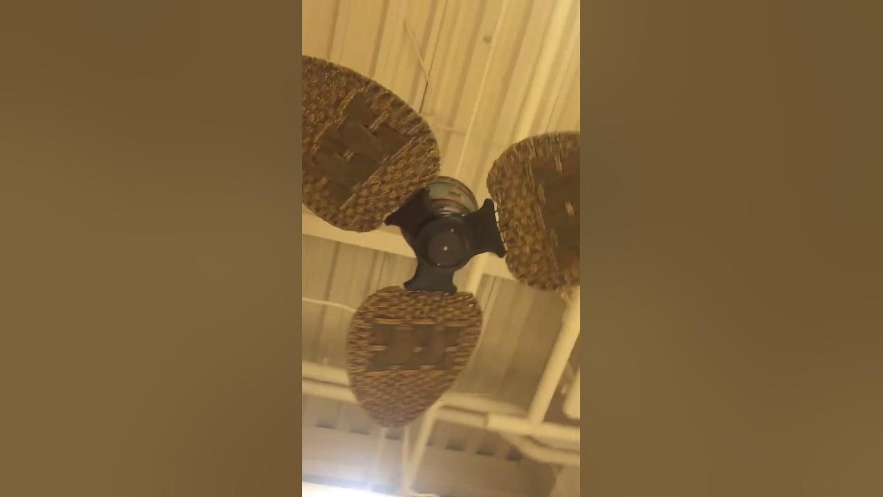 56" Fanimation Treventi Ceiling Fans (Off, Old Video) YouTube