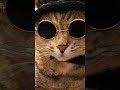 Meow