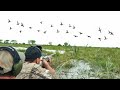 Early Season TEAL HUNTING Compilation (Catch and Cook)