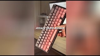 ATTACK SHARK X66 – РОЛЛЕР, RGB И НАСТРОЙКА ЧЕРЕЗ ПО! 🦈 screenshot 5
