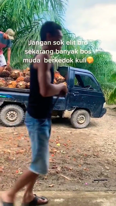STORY WA KEKINIAN PEKERJA KELAPA SAWIT