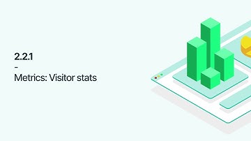 2.2.1 - Visitors (Page Views, Unique Visitors, etc)