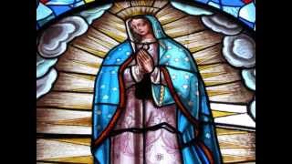 Video thumbnail of "De Piel Morena (Virgen de Guadalupe) - Grupo Claret"