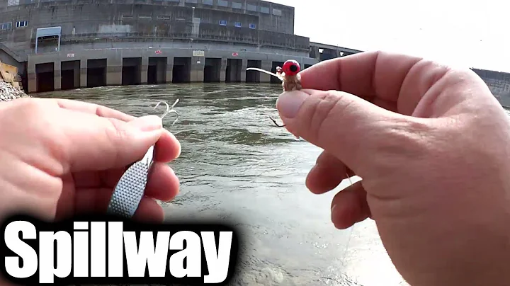 Fall Fishing Below The Dam (Spillway Fishing) + Fishing Lure Mail