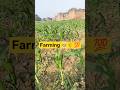 Le tu bhi dekh le #farming #kisan #viral #trinding #shorts