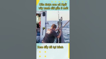 Câu được con cá Ngừ vây xanh dài gần 3 mét #shorts