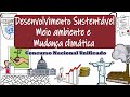 Desenvolvimento sustentvel meio ambiente e mudana climtica  cnu 2024  desenhando a soluo