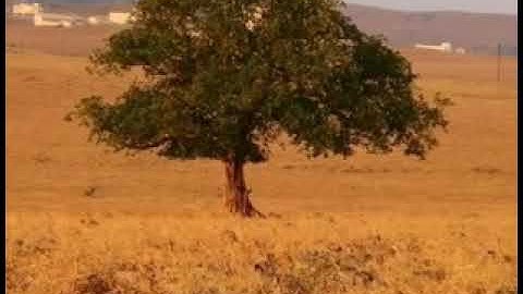 حريز المهري  : سوره الانفطار