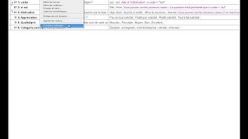 Traitement et analyse des données sous Sphinx Par Hassan FAOUZI