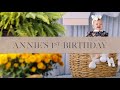 Up Up and Away: Annie's First Birthday | Jillian Harris