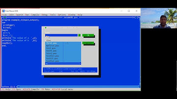 PASCAL   input,output