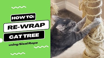 How to: Re-wrap cat tree poles using only staple and sisal ropes.