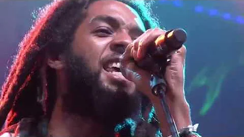 THE WAILERS ft Aston 'Familyman' Barrett, Junior M...