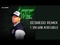 DJ Jawz - Limpopo Way (Seshego Remix) ft. Sizwe Alakine, Mk Doc & Sanza Lo