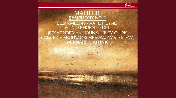 Mahler: Songs from "Des Knaben Wunderhorn": 5. Das irdische Leben