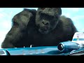 Ape vs ai ape 2023 film explained in hindiurdu  latest hollywood movie summarized 