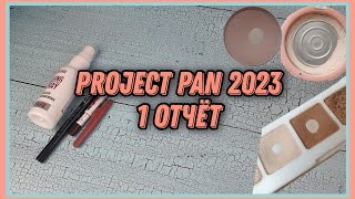 PROJECT PAN 2022 | Первый отчет | Пустые баночки и хорошие результаты