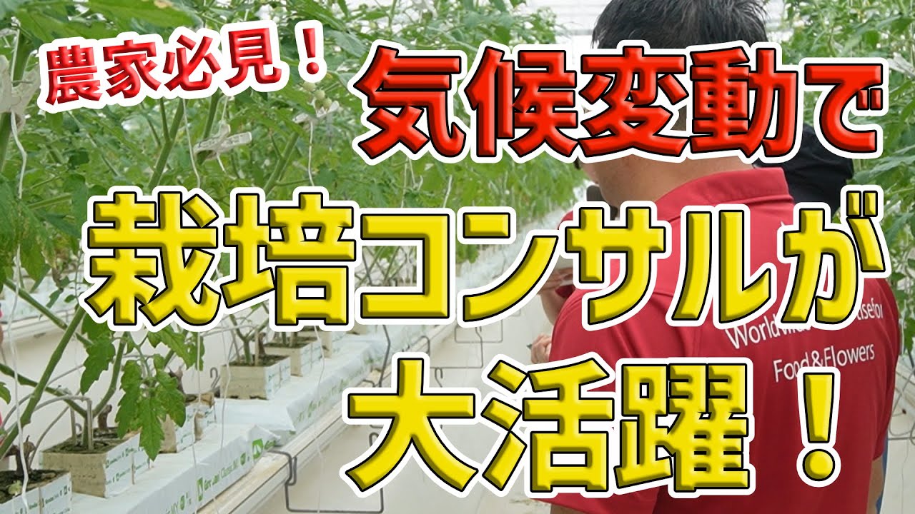 135 農家必見！気候変動で栽培コンサルが大活躍！ - YouTube 
