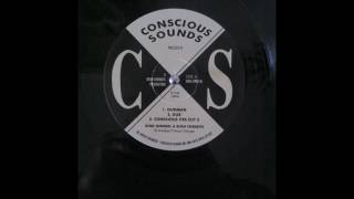 King General &amp; The Bush Chemists - Gunman + Dub - 12&quot; Conscious Sounds 1995 - UK HEAVYWEIGHT