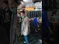 perkutut bangkok