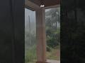 മഴ 🌼😍#trendingshorts #viralvideo #kerala ##naturelovers #rainyday #youtubeshorts #happiness