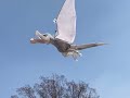 ポケモン　プテラ飛ぶ　羽ばたき飛行機