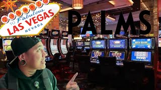 WE GAMBLED AT THE PALMS CASINO IN LAS VEGAS 