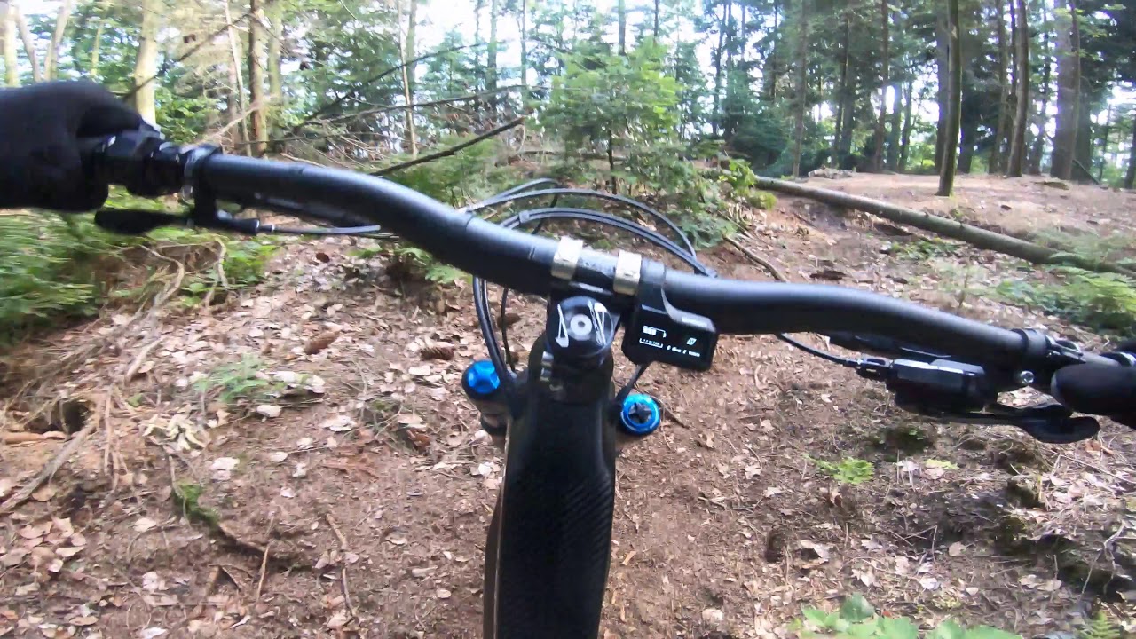 YT Decoy CF pro YouTube