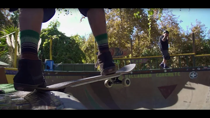 Terry Newhouse - The Salad Bowl - Mini Documentary