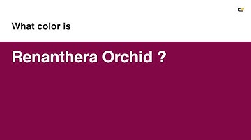 Renanthera Orchid color #820747 hex color - Violet color - Cool color 820747