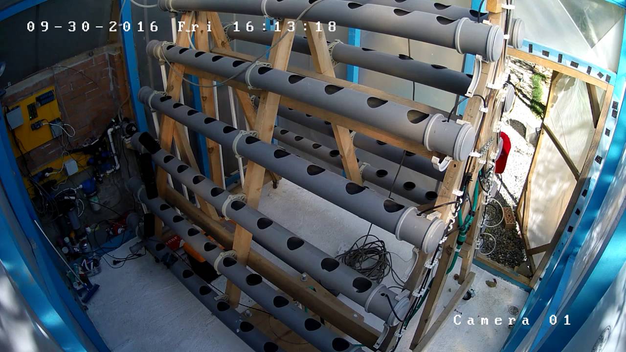 bubblestack Live Stream