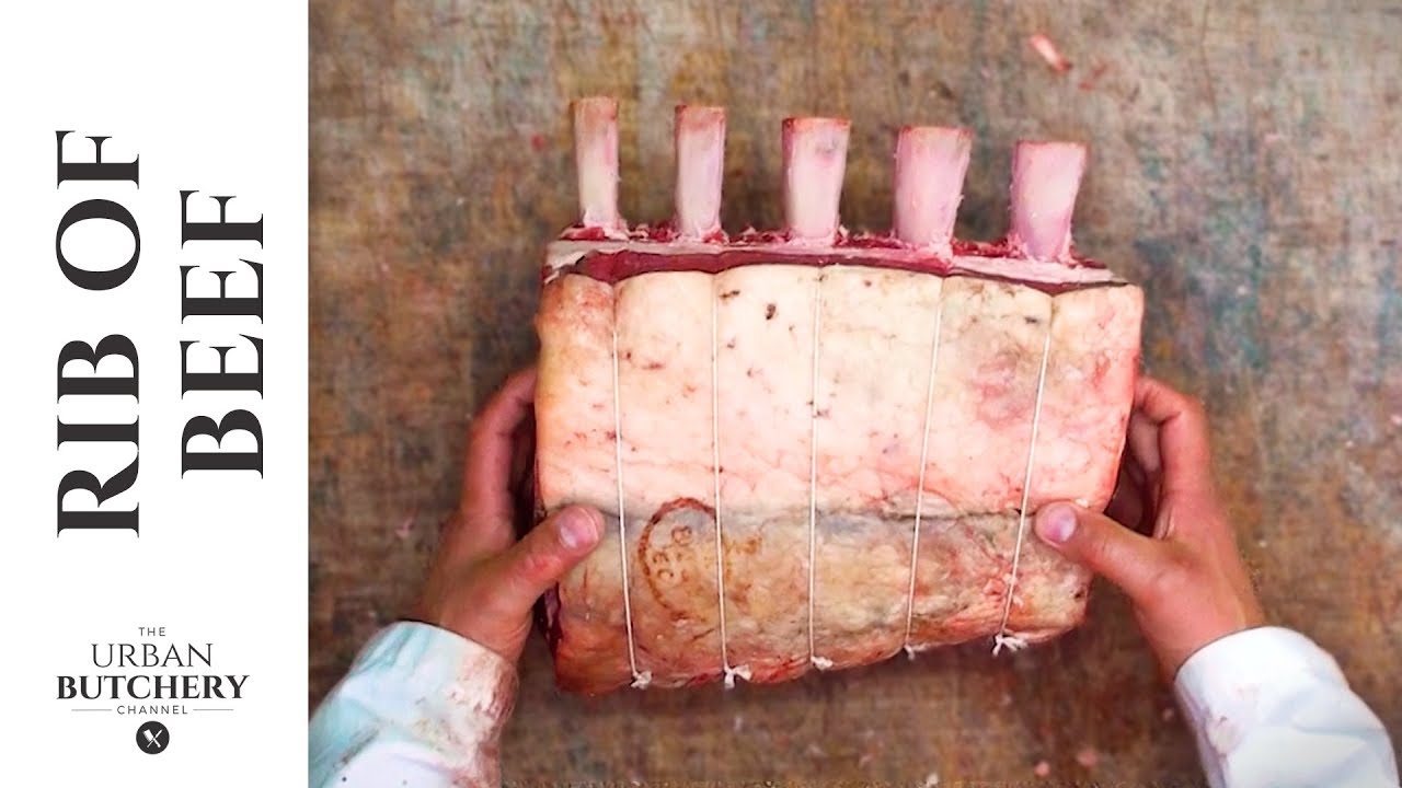 Rib of Beef Boned, French Trimmed & Tied YouTube
