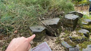 Look At This Rock 366