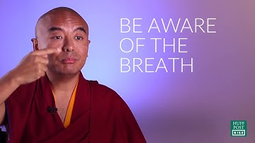 "Meditation & Monkey Mind" ~ Yongey Mingyur Rinpoche