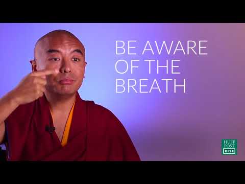 "Meditation & Monkey Mind" ~ Yongey Mingyur Rinpoche