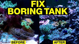 BORED with your Saltwater Tank 20 New Ideas to Sol...