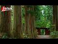 Togakushi Shrine Five-Shrine Pilgrimage - Hidden Spiritual Spot in Japan | Nagano, Japan Travel